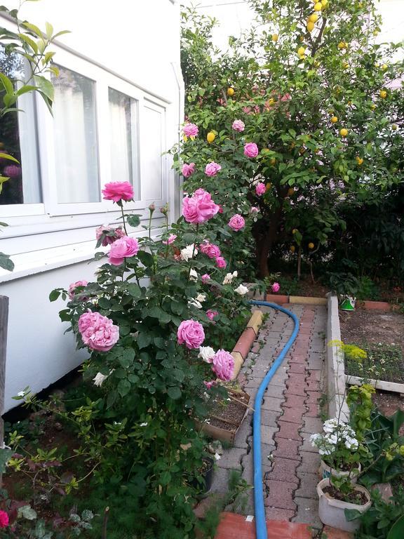 Keramos Pansiyon Finike Exterior foto
